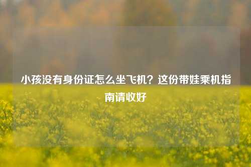 小孩没有身份证怎么坐飞机?这份带娃乘机指南请收好