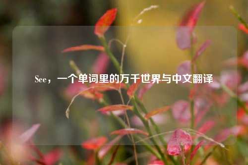 See，一个单词里的万千世界与中文翻译
