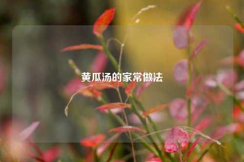 黄瓜汤的家常做法