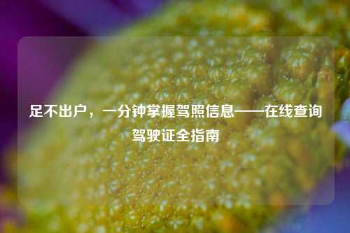 足不出户,一分钟掌握驾照信息——在线查询驾驶证全指南
