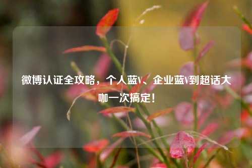 微博认证全攻略,个人蓝V、企业蓝V到超话大咖一次搞定!