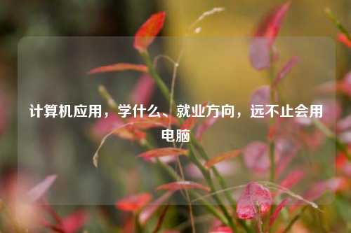 计算机应用,学什么、就业方向,远不止会用电脑