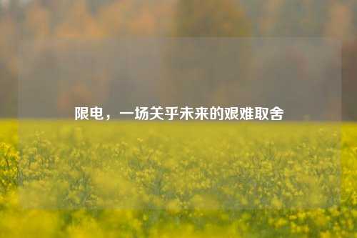 限电,一场关乎未来的艰难取舍
