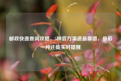 邮政快递查询攻略，5种官方渠道最靠谱，最后一种还能实时提醒