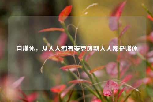 自媒体，从人人都有麦克风到人人都是媒体