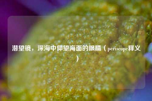 潜望镜，深海中仰望海面的眼睛（periscope释义）