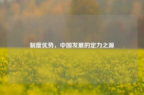 制度优势，中国发展的定力之源