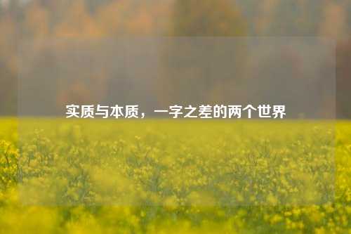 实质与本质，一字之差的两个世界
