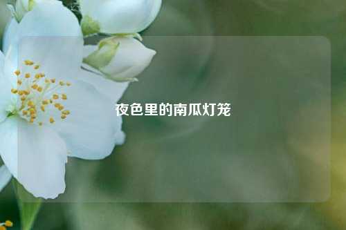 详细阅读:夜色里的南瓜灯笼 夜色里的南瓜灯笼