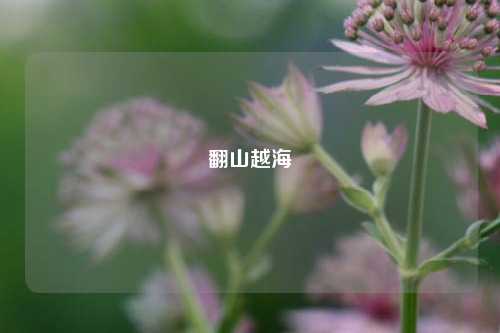 翻山越海
