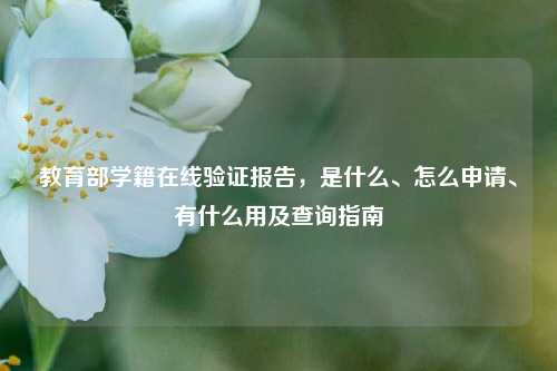教育部学籍在线验证报告,是什么、怎么申请、有什么用及查询指南