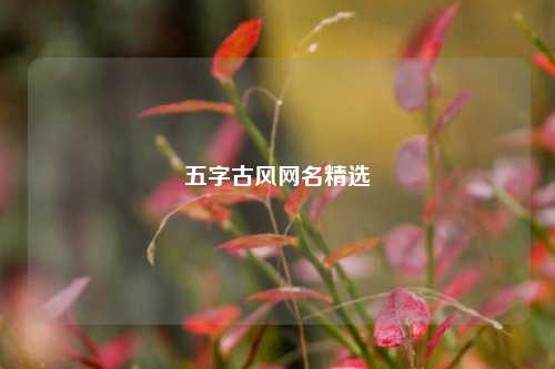 五字古风网名精选
