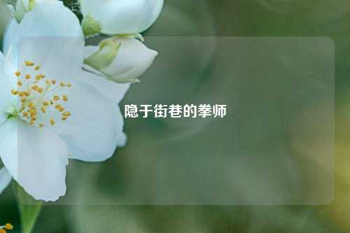 隐于街巷的拳师