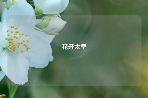 花开太早