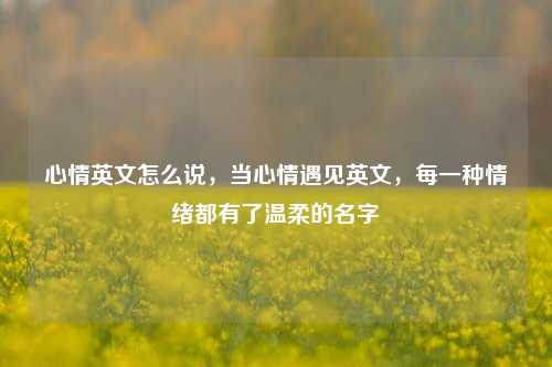 心情英文怎么说,当心情遇见英文,每一种情绪都有了温柔的名字