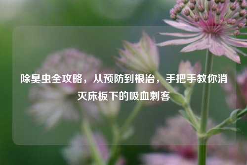 除臭虫全攻略,从预防到根治,手把手教你消灭床板下的吸血刺客