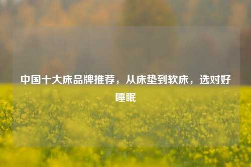 中国十大床品牌推荐,从床垫到软床,选对好睡眠