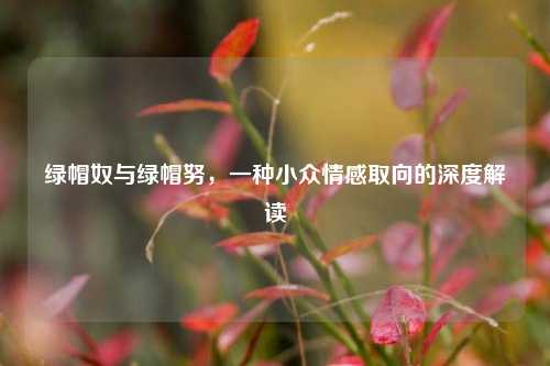 绿帽奴与绿帽努,一种小众情感取向的深度解读