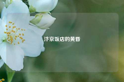 汴京饭店的黄昏