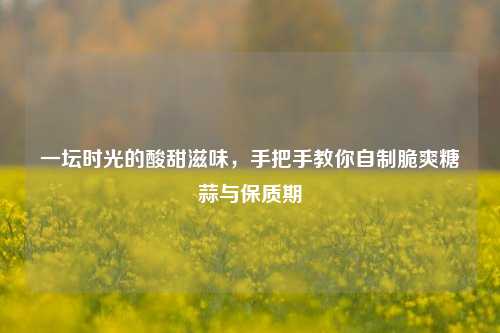 一坛时光的酸甜滋味,手把手教你自制脆爽糖蒜与保质期