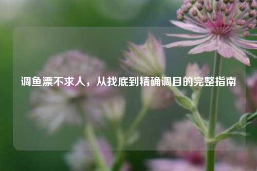 调鱼漂不求人,从找底到精确调目的完整指南