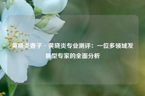 黄晓炎妻子·黄晓炎专业测评:一位多领域发展型专家的全面分析