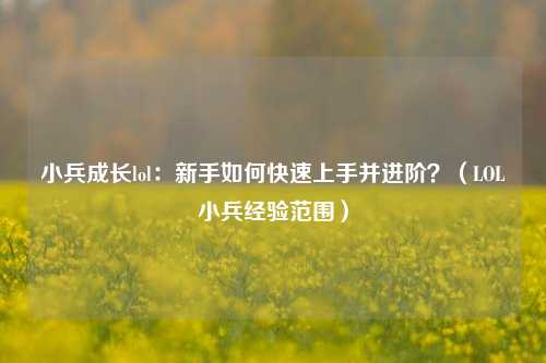 小兵成长lol:新手如何快速上手并进阶?(LOL小兵经验范围)