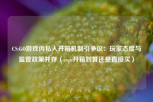 CS:GO游戏内私人开箱机制引争议：玩家态度与监管政策并存（csgo开箱划算还是直接买）