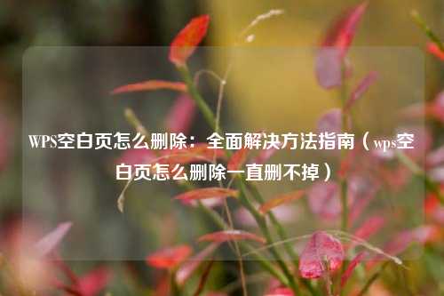 WPS空白页怎么删除：全面解决方法指南（wps空白页怎么删除一直删不掉）