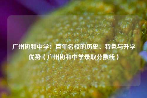 广州协和中学：百年名校的历史、特色与升学优势（广州协和中学录取分数线）