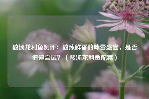 酸汤龙利鱼测评:酸辣鲜香的味蕾盛宴,是否值得尝试?(酸汤龙利鱼配菜)