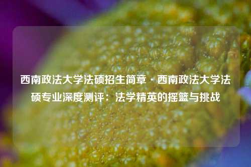 西南政法大学法硕招生简章·西南政法大学法硕专业深度测评：法学精英的摇篮与挑战