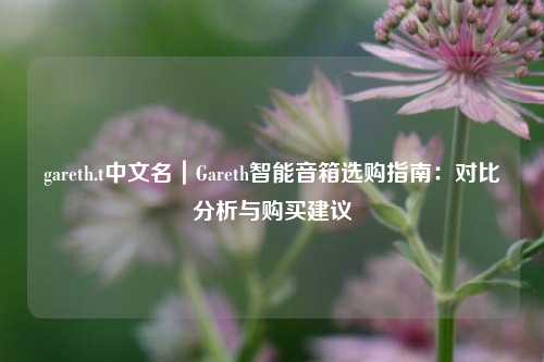 gareth.t中文名|Gareth智能音箱选购指南:对比分析与购买建议