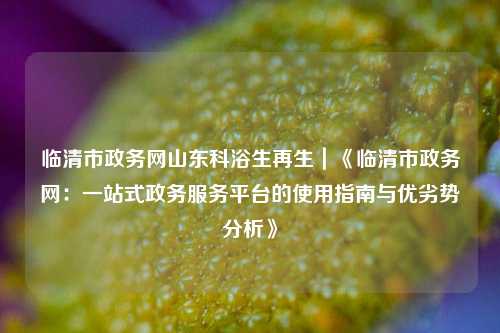 临清市政务网山东科浴生再生|《临清市政务网:一站式政务服务平台的使用指南与优劣势分析》