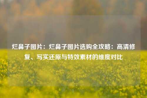 烂鼻子图片:烂鼻子图片选购全攻略:高清修复、写实还原与特效素材的维度对比