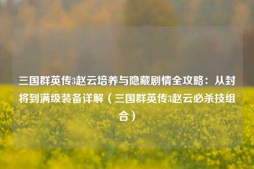 三国群英传3赵云培养与隐藏剧情全攻略:从封将到满级装备详解(三国群英传3赵云必杀技组合)