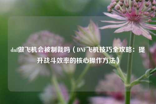 dnf做飞机会被制裁吗(DNF飞机技巧全攻略:提升战斗效率的核心操作方法)