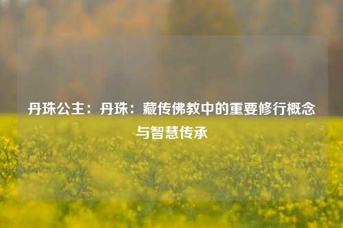 丹珠公主：丹珠：藏传佛教中的重要修行概念与智慧传承